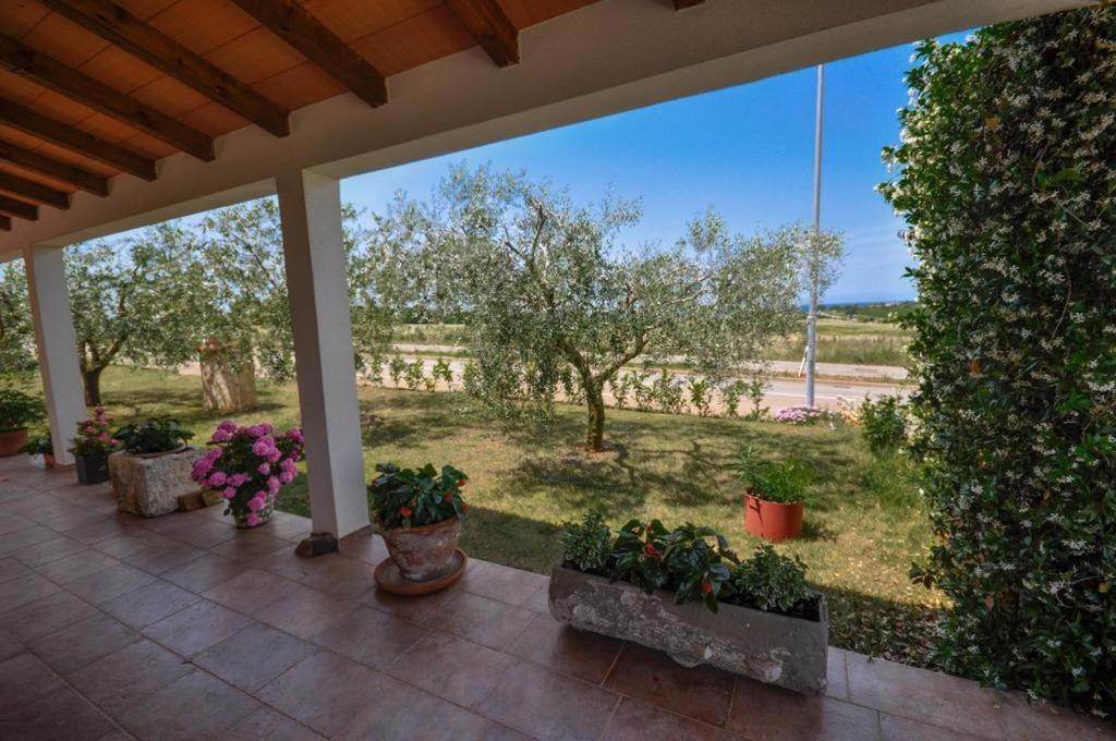 Angela Appartement Novigrad Istria Buitenkant foto