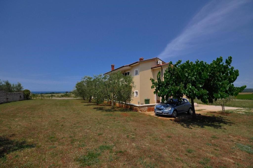 Angela Appartement Novigrad Istria Buitenkant foto