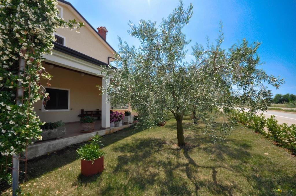 Angela Appartement Novigrad Istria Buitenkant foto
